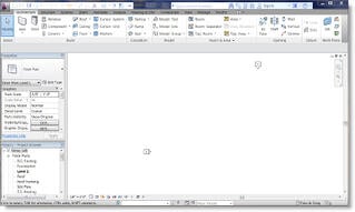 Facing Revit's Blank Screen Can Be Challenging for New Users